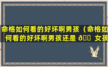 命格如何看的好坏啊男孩（命格如何看的好坏啊男孩还是 🐠 女孩）